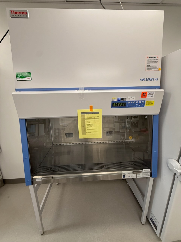 Image of Thermo 1300 Series A2 4' BioSafety Cabinet